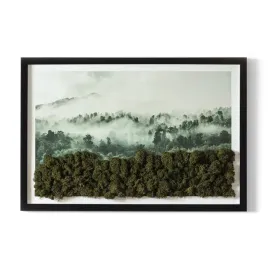 obraz-mech-chrobotek-prezent-las-we-mgle-60x40