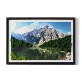 obraz-z-mchem-prezent-tatry-morskie-oko-60x40