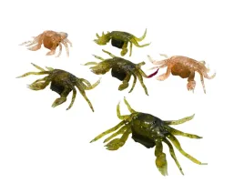 zestaw-6-przynet-na-ryby-bopfimer-krab-3d-10cm