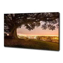 duzy-foto-obraz-na-plotnie-stare-drzewo-100x70-cm