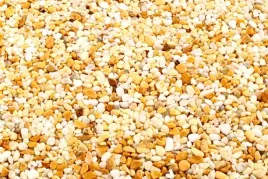 kruszywo-marmurowe-kamienny-dywan-ozdobne-m11-giallo-siena-2-4mm-25-kg