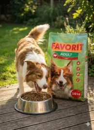 favorit-sucha-karma-dla-psa-10kg-wolowina-adult