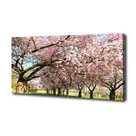 duzy-foto-obraz-na-plotnie-drzewa-wisni-100x50-cm