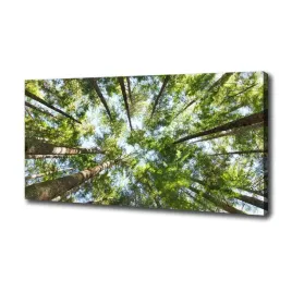duzy-foto-obraz-na-plotnie-korona-drzew-100x50-cm