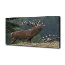 foto-obraz-na-plotnie-jelen-na-wzgorzu-100x50-cm
