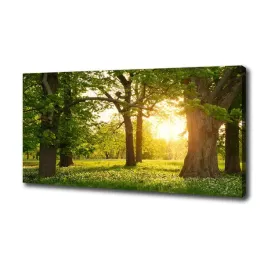 foto-obraz-na-plotnie-drzewa-w-parku-100x50-cm