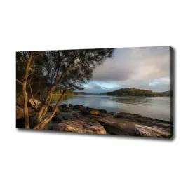 foto-obraz-na-plotnie-drzewo-nad-rzeka-100x50-cm