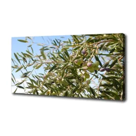 foto-obraz-na-plotnie-drzewo-oliwne-100x50-cm