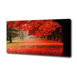 foto-obraz-na-plotnie-drzewa-jesienia-100x50-cm