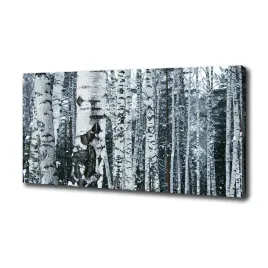 foto-obraz-na-plotnie-drzewa-brzozy-100x50-cm