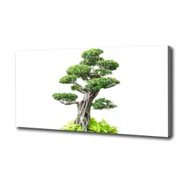 foto-obraz-na-plotnie-drzewo-bonsai-100x50-cm