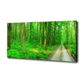 foto-obraz-na-plotnie-drzewa-w-lesie-100x50-cm