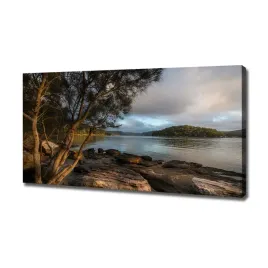 foto-obraz-na-plotnie-drzewo-nad-rzeka-120x60-cm