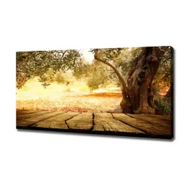 foto-obraz-na-plotnie-drzewo-oliwne-120x60-cm