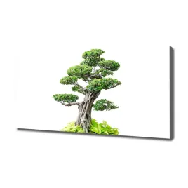 foto-obraz-na-plotnie-drzewo-bonsai-120x60-cm