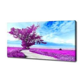foto-obraz-na-plotnie-drzewo-i-sciezka-120x60-cm