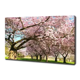 duzy-foto-obraz-na-plotnie-drzewa-wisni-100x70-cm