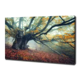 duzy-foto-obraz-na-plotnie-stare-drzewo-100x70-cm