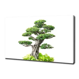 foto-obraz-na-plotnie-drzewo-bonsai-100x70-cm