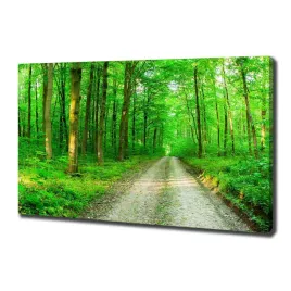 foto-obraz-na-plotnie-drzewa-w-lesie-100x70-cm