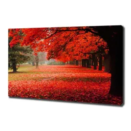 foto-obraz-na-plotnie-drzewa-jesienia-100x70-cm