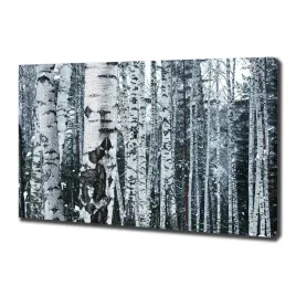 foto-obraz-na-plotnie-drzewa-brzozy-100x70-cm