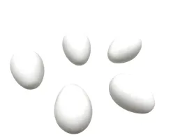 jajka-legowe-dla-kur-kellago-5-sztuk