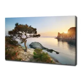 foto-obraz-na-plotnie-drzewo-nad-morzem-100x70-cm