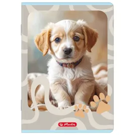 zeszyt-herlitz-standard-animals-a5-32k-kratka-z-marginesem-miks-kolorow