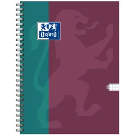 kolozeszyt-oxford-b-you-b5-100k-kratka-miks-kolorow