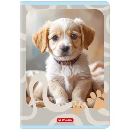 zeszyt-herlitz-standard-animals-a4-32k-linia-podwojna-kolorowa-miks-kolorow