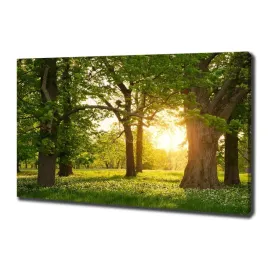 foto-obraz-na-plotnie-drzewa-w-parku-100x70-cm