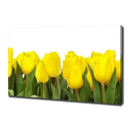 foto-obraz-na-plotnie-zolte-tulipany-100x70-cm