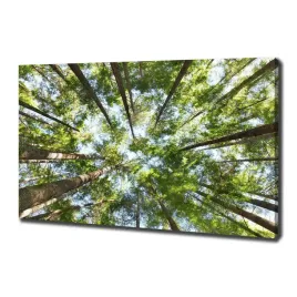 duzy-foto-obraz-na-plotnie-korona-drzew-100x70-cm