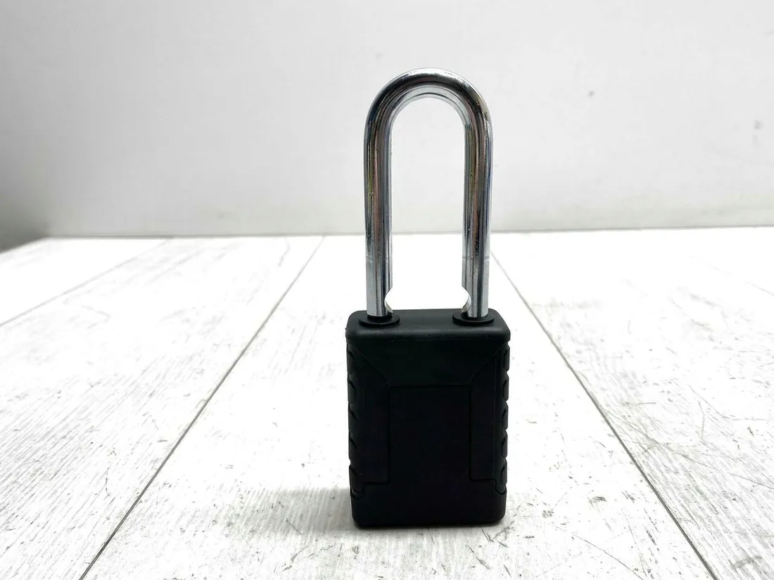 klodka-biometryczna-master-lock-4901eurdlhcc