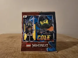 lego-ninjago-892180-nurek-cole-saszetka-z-minifigurka