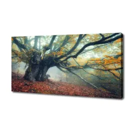 foto-obraz-duzy-na-plotnie-stare-drzewo-140x70-cm