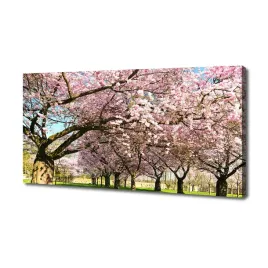 foto-obraz-duzy-na-plotnie-drzewa-wisni-140x70-cm