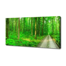 foto-obraz-na-plotnie-drzewa-w-lesie-140x70-cm