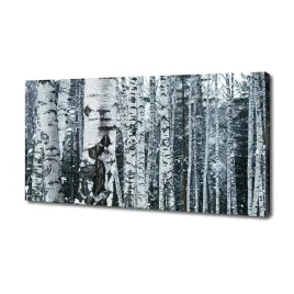 foto-obraz-na-plotnie-drzewa-brzozy-140x70-cm
