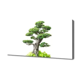 foto-obraz-na-plotnie-drzewo-bonsai-140x70-cm