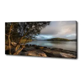 foto-obraz-na-plotnie-drzewo-nad-rzeka-125x50-cm