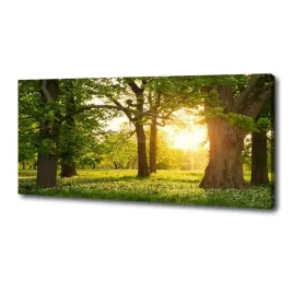 foto-obraz-na-plotnie-drzewa-w-parku-125x50-cm