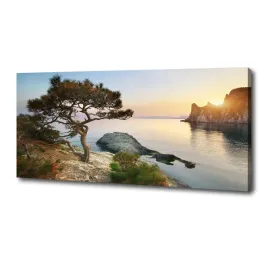 foto-obraz-na-plotnie-drzewo-nad-morzem-125x50-cm