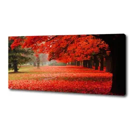 foto-obraz-na-plotnie-drzewa-jesienia-125x50-cm