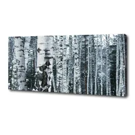 foto-obraz-na-plotnie-drzewa-brzozy-125x50-cm