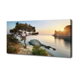 foto-obraz-na-plotnie-drzewo-nad-morzem-140x70-cm