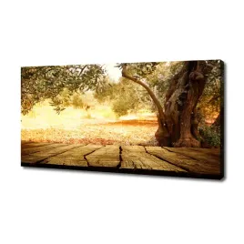 foto-obraz-na-plotnie-drzewo-oliwne-140x70-cm