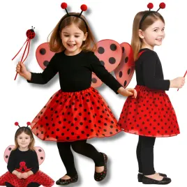 stroj-biedronki-biedronka-bal-jesieni-halloween-karnawal-balik-90-120