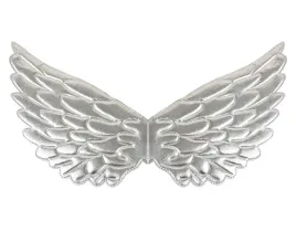 skrzydla-srebrne-aniola-aniolka-stroj-kostium-bal-swietych-jaselka-karnawal